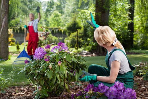 Garden waste and rubbish collection pricing in Honoroak