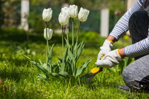 Landscapers Honoroak team planning a residential garden landscape