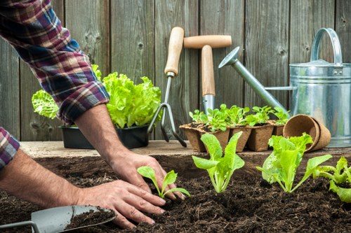 Risk assessment process for outdoor waste clearance and landscaping work