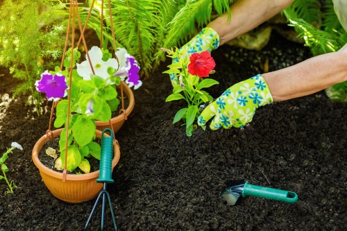 Landscape gardening in Honoroak with stylish planting and patio design