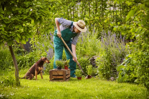 Landscaping waste sorted into eco-friendly recycling areas