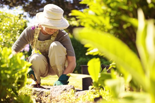 Garden maintenance in Honoroak with tidy lawn and borders