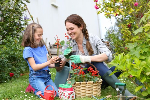 Healthy green lawn care in Honoroak with neat mowing lines