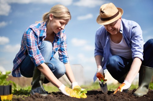 Weed control and turf management for lawn care in Honoroak