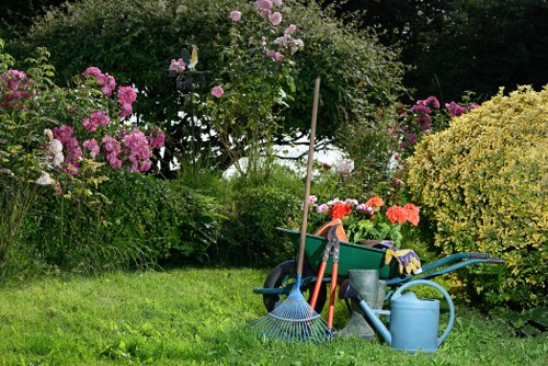 Durable paving and decking materials for garden renovation