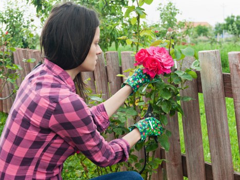 Pruning and trimming plants as part of garden maintenance in Honoroak