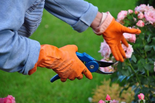 Professional rubbish removal crew using PPE on a property site