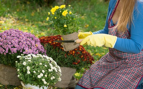 Seasonal garden maintenance in Honoroak with shrubs and flower beds
