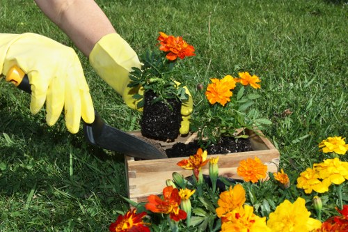 Outdoor landscaping design features with plants and clean borders in Honoroak