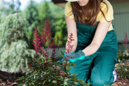 Seasonal planting and hard landscaping in a Honoroak garden