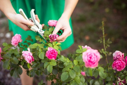Supplier due diligence and audit process for Honoroak landscapers