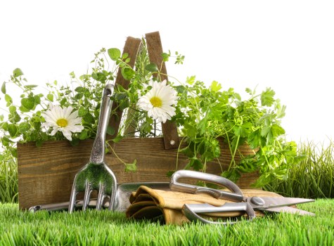 Detailed landscape gardening plan for a Honoroak outdoor space