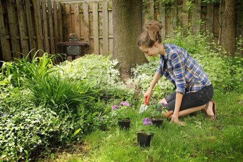 Seasonal garden planting with layered greenery and decorative lighting