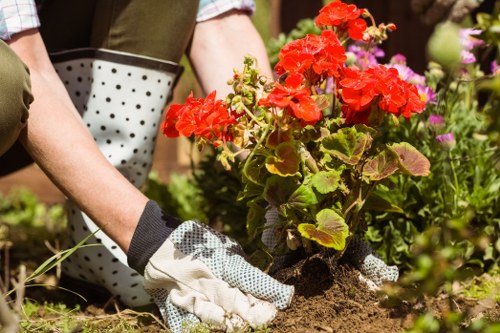 Accessibility request and support message for Landscapers Honoroak