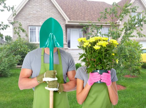 Seasonal lawn mowing in Honoroak for healthy grass growth