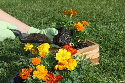 Professional landscaping design elements including shrubs, pathways, and lawn