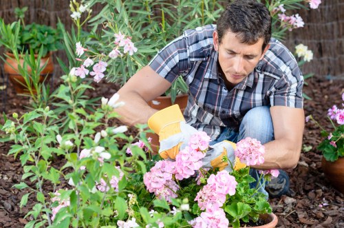 Final complaint resolution process for landscapers