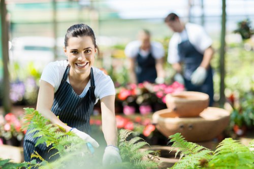Screen-reader friendly website structure for Honoroak landscaping services
